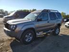 NISSAN XTERRA XE photo