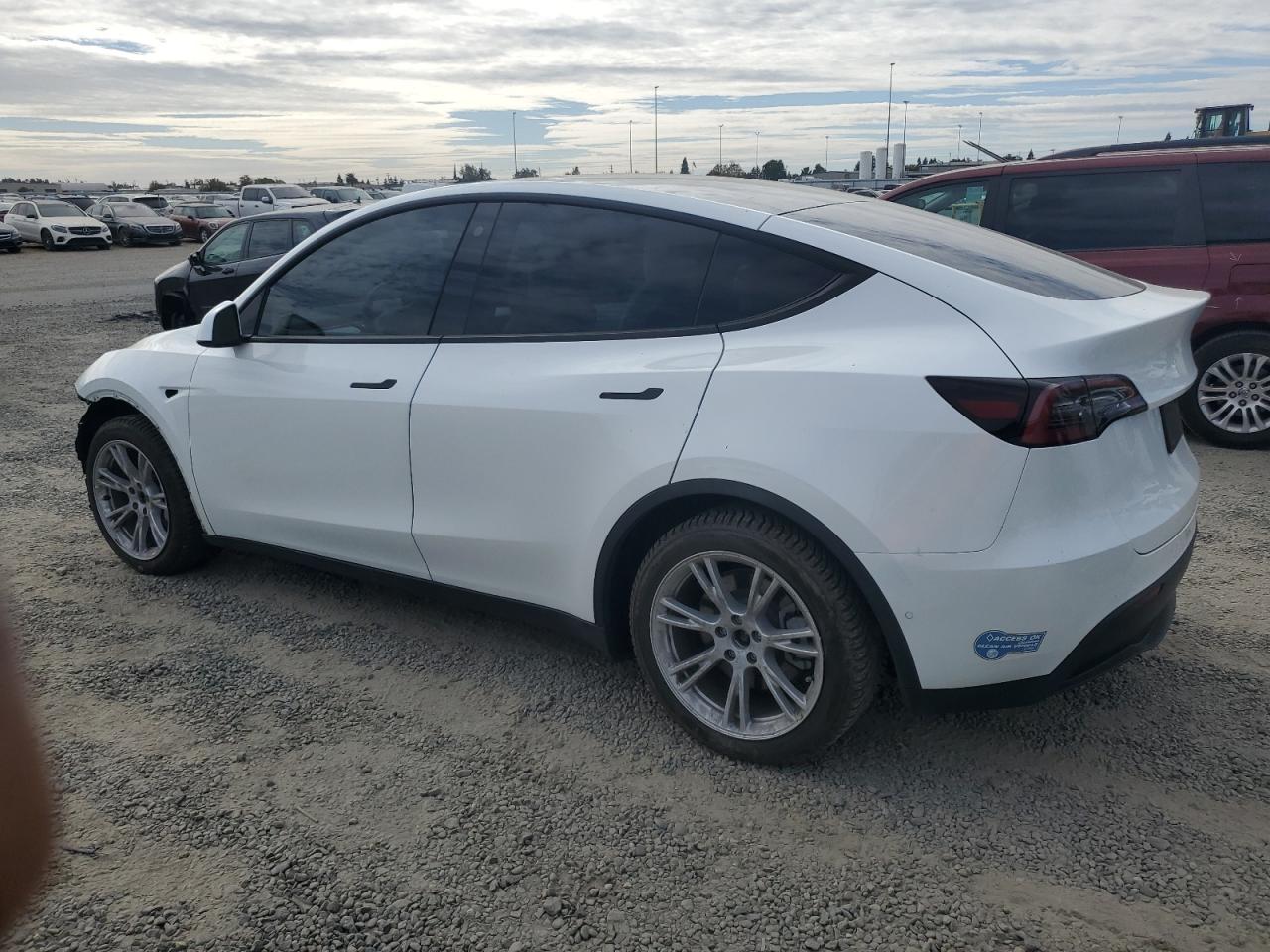 Lot #3030385481 2021 TESLA MODEL Y