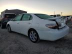 LEXUS ES 330 снимка