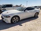 2021 FORD MUSTANG - 1FA6P8TH4M5119822