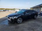 2016 NISSAN MAXIMA 3.5 - 1N4AA6AP3GC409334