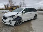 2023 HONDA ODYSSEY TO - 5FNRL6H83PB073225
