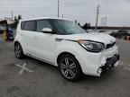 KIA SOUL + photo