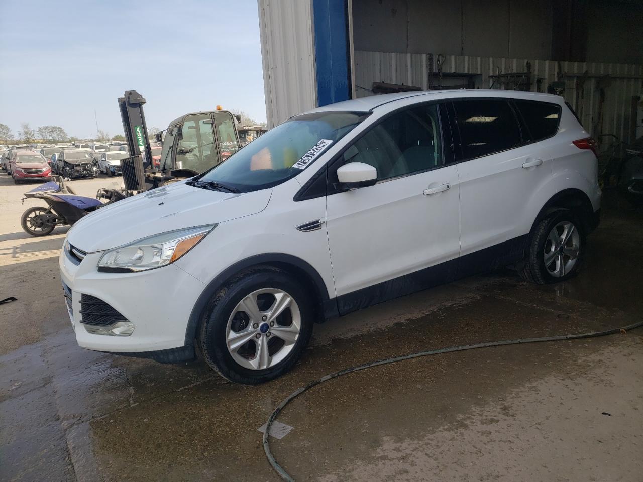 Lot #2978937628 2016 FORD ESCAPE SE