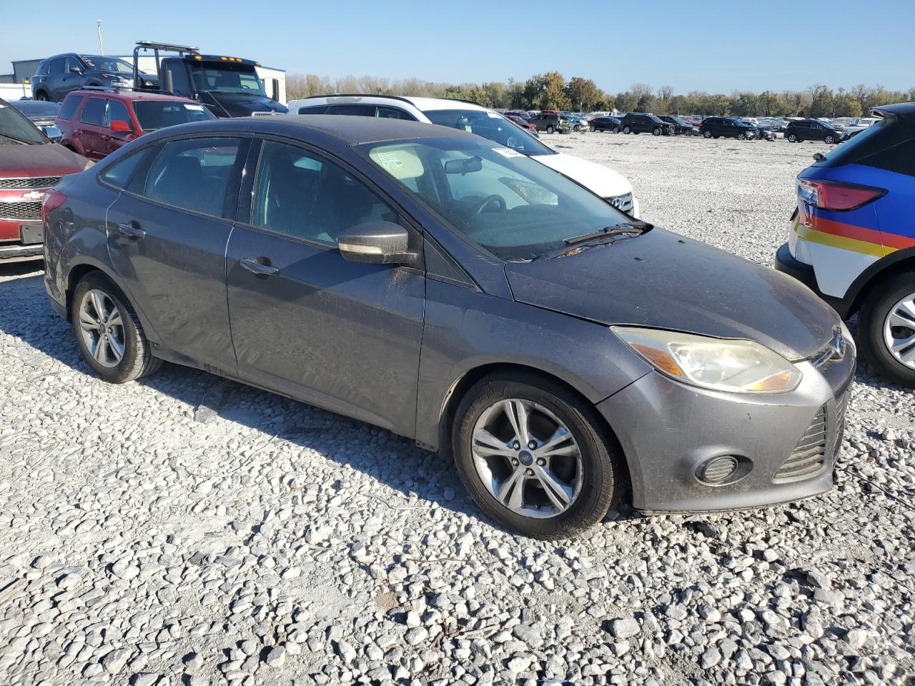 Lot #2940219463 2014 FORD FOCUS SE