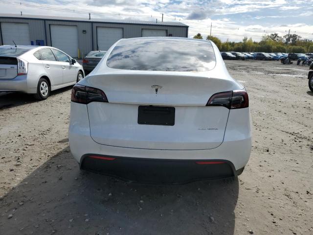 2023 TESLA MODEL Y - 7SAYGDEE6PA077249