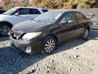 Lot #3023710895 2013 TOYOTA COROLLA BA