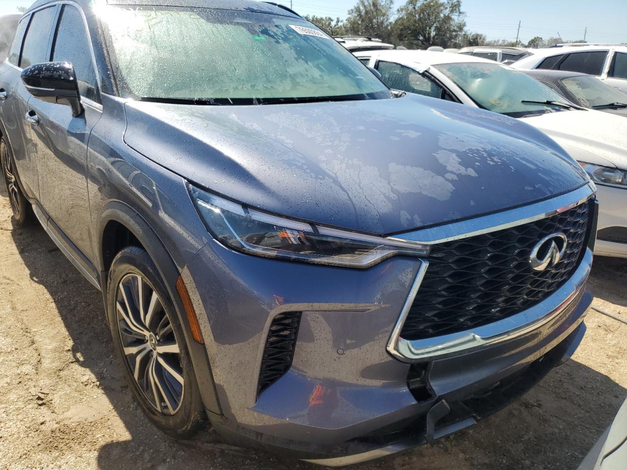 Lot #2976153503 2024 INFINITI QX60 AUTOG