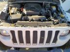 Lot #3025160213 2019 JEEP WRANGLER U