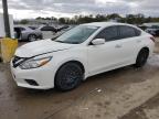 2016 NISSAN ALTIMA 2.5 - 1N4AL3AP7GN313736