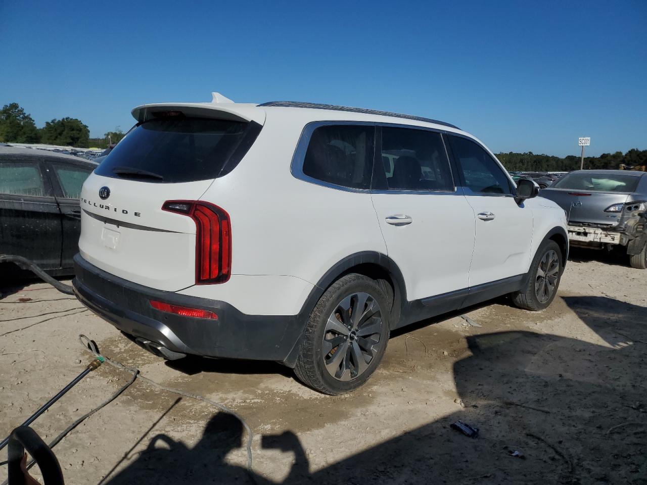 Lot #2969984882 2020 KIA TELLURIDE