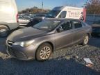 2016 TOYOTA CAMRY LE - 4T4BF1FK1GR540922