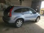 Lot #3006044745 2007 HONDA CR-V EXL