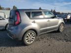 KIA SOUL + photo