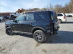 FORD BRONCO SPO photo