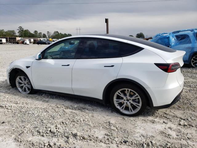 2023 TESLA MODEL Y - 7SAYGDEE3PF791732