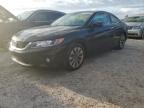 Lot #3040945453 2014 HONDA ACCORD EXL