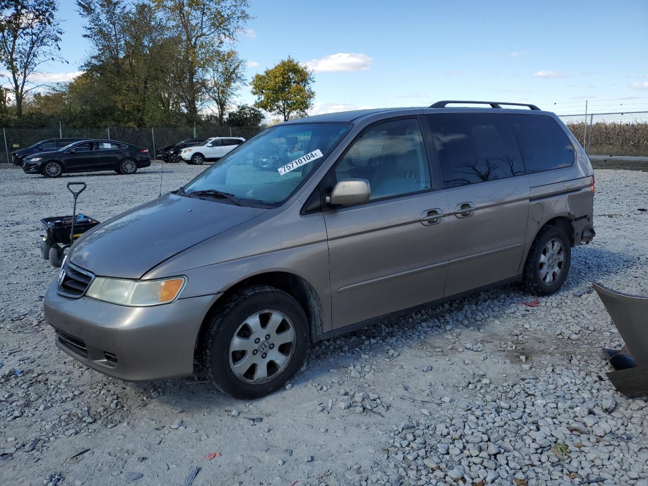 Lot #2952941757 2004 HONDA ODYSSEY EX