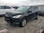 2016 FORD ESCAPE SE - 1FMCU0GX1GUC42444