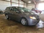 HONDA ODYSSEY EX photo