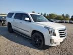 CADILLAC ESCALADE E снимка