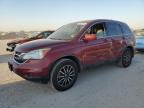 HONDA CR-V EXL photo