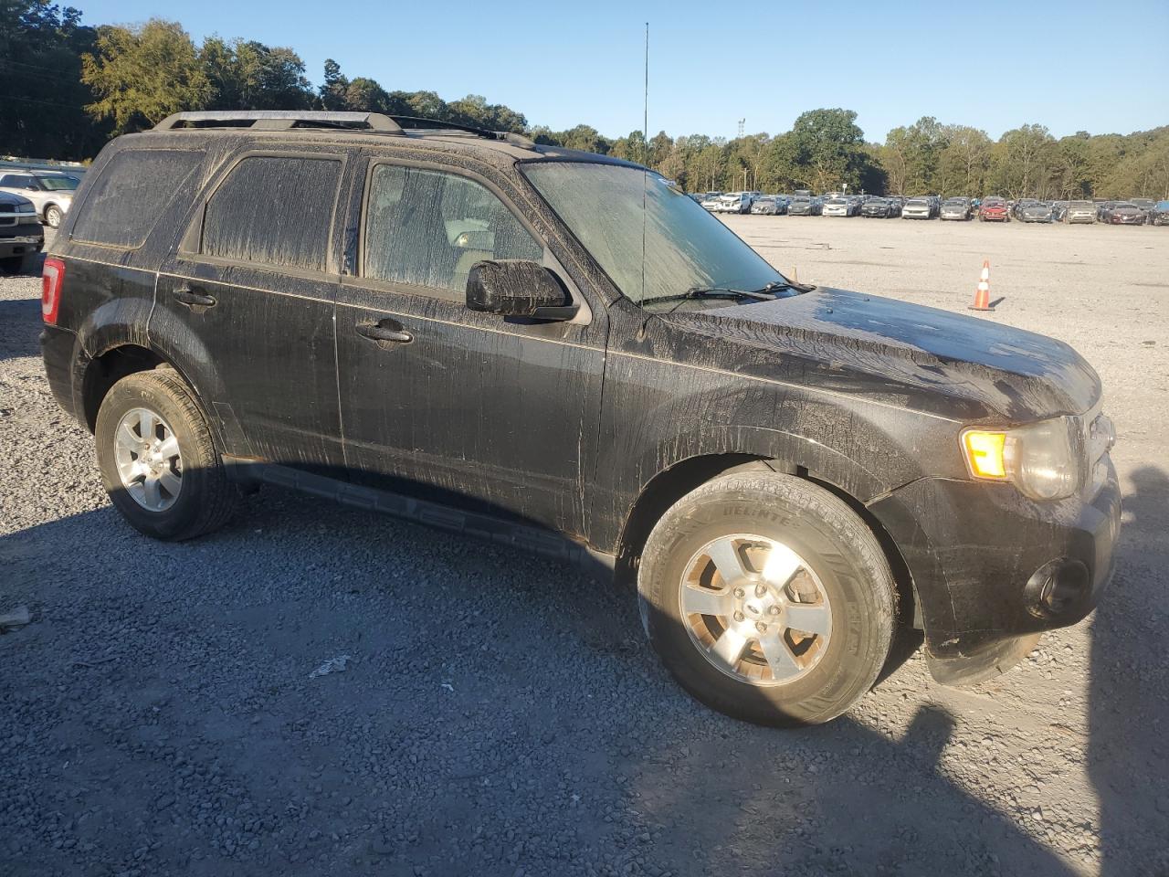 Lot #2947461943 2011 FORD ESCAPE LIM