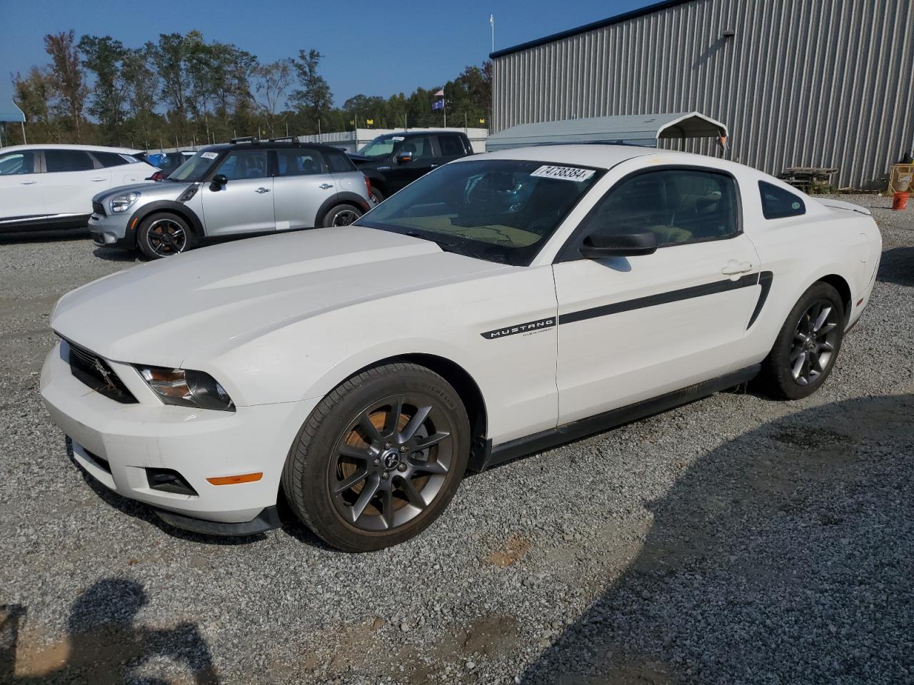 Lot #2974816016 2012 FORD MUSTANG