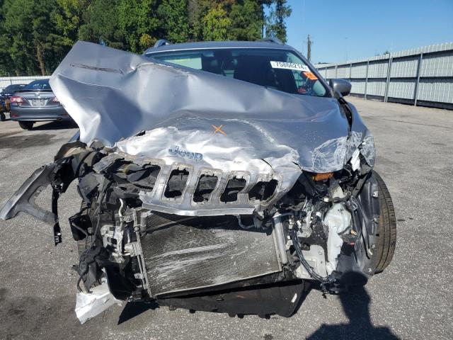 2019 JEEP CHEROKEE L - 1C4PJLCB0KD160305