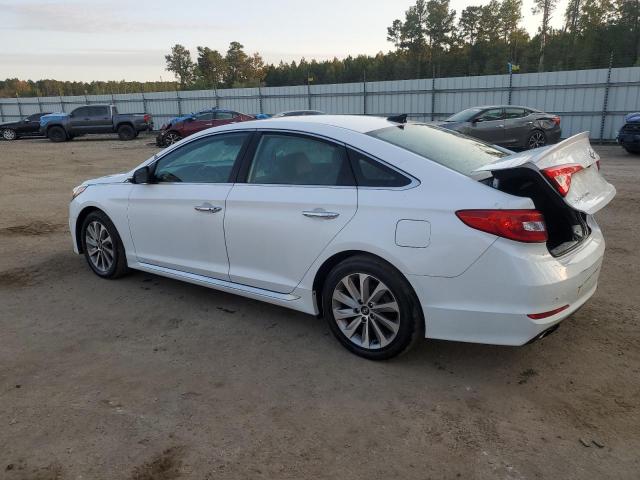 2017 HYUNDAI SONATA SPO - 5NPE34AF6HH502629