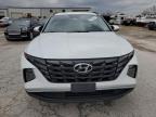 Lot #3004487625 2022 HYUNDAI TUCSON SEL