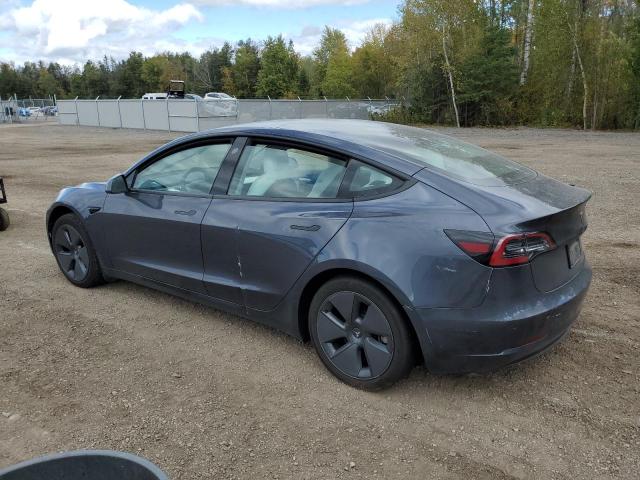2023 TESLA MODEL 3 - 5YJ3E1EA3PF468726