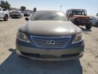 LEXUS LS 460 photo