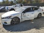 2019 NISSAN ALTIMA PLA - 1N4BL4FW6KC136885
