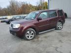 HONDA PILOT EXL photo