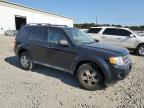 FORD ESCAPE XLT photo