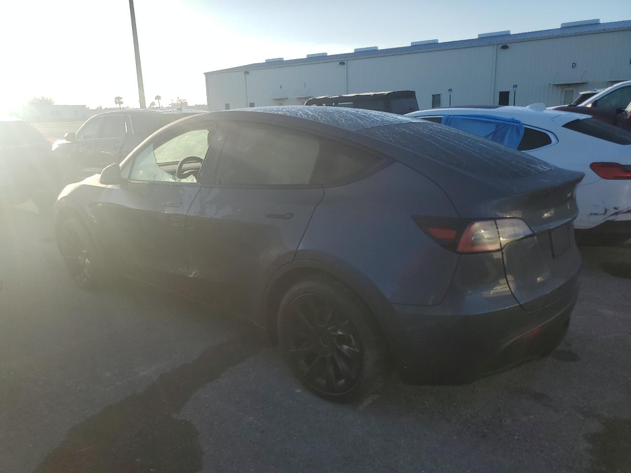 Lot #2986712353 2023 TESLA MODEL Y