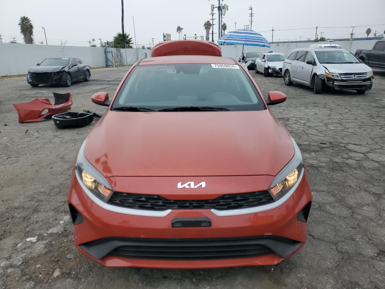 Lot #3028290829 2022 KIA FORTE FE