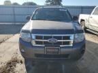 Lot #3023906203 2011 FORD ESCAPE XLT