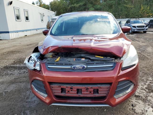 VIN 1FMCU0G79FUA65222 2015 Ford Escape, SE no.5