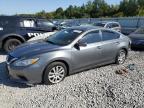 2017 NISSAN ALTIMA 2.5 - 1N4AL3AP5HN313302