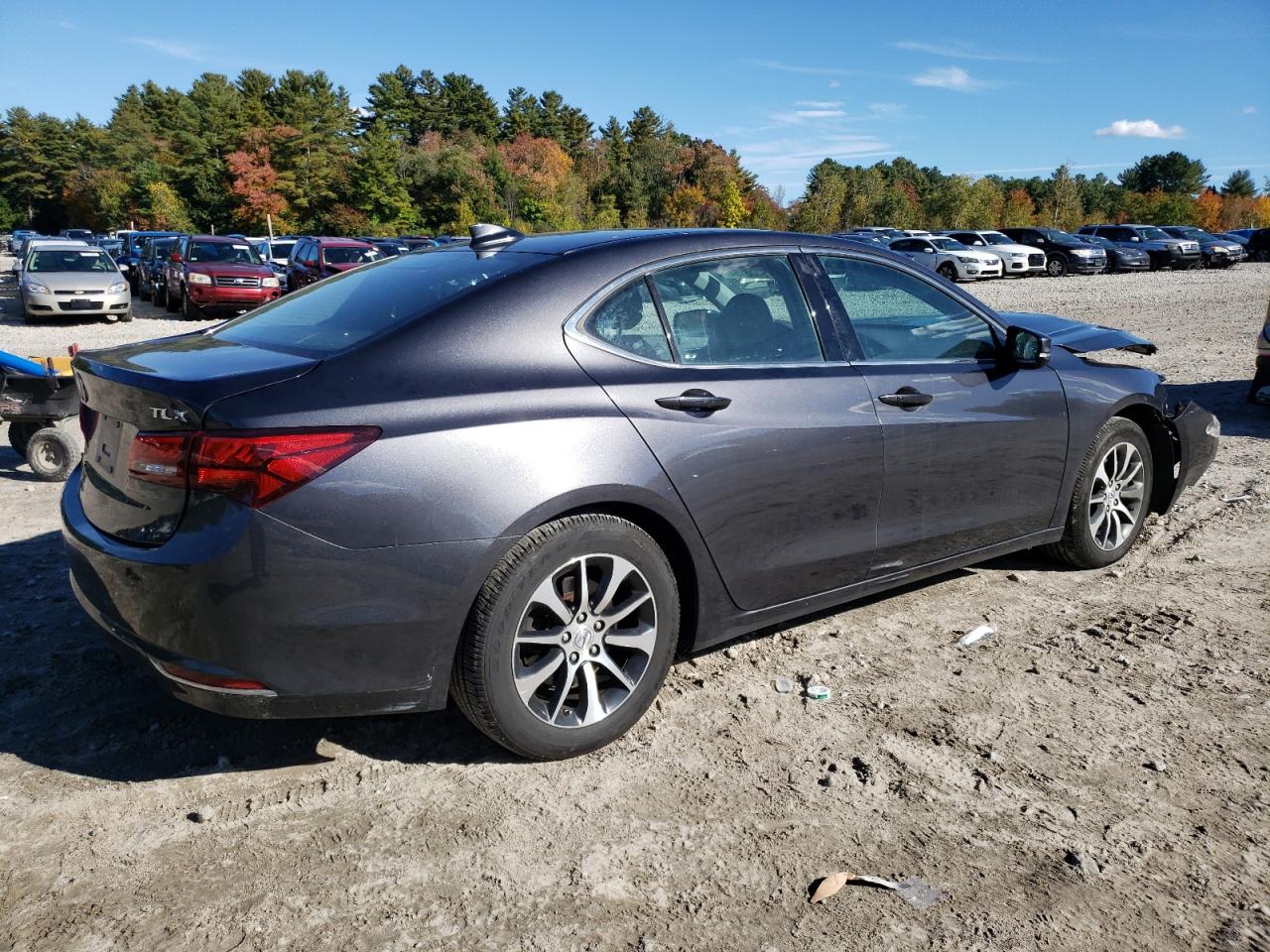 Lot #2996561685 2015 ACURA TLX TECH