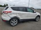 FORD ESCAPE TIT снимка