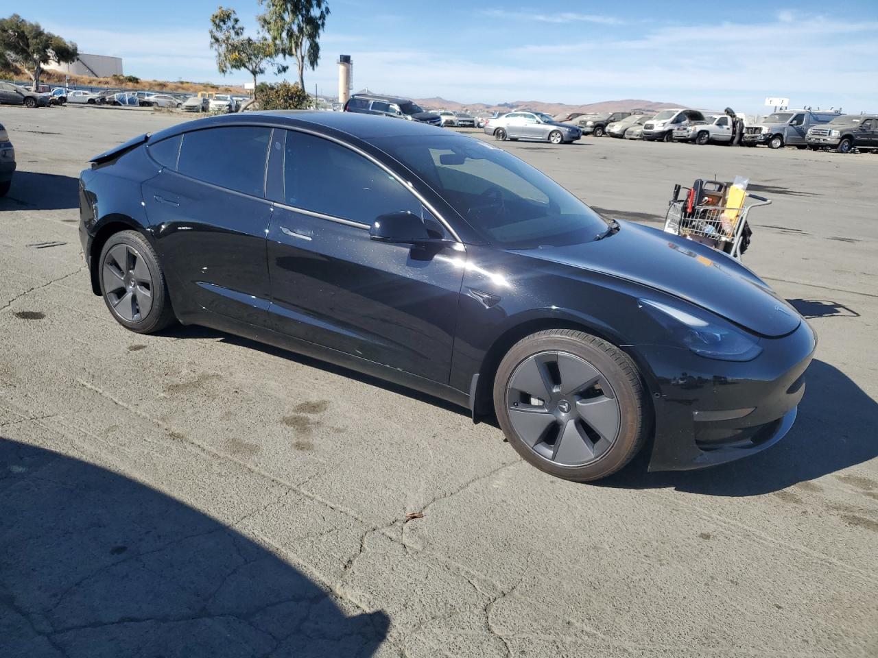 Lot #2986958859 2021 TESLA MODEL 3