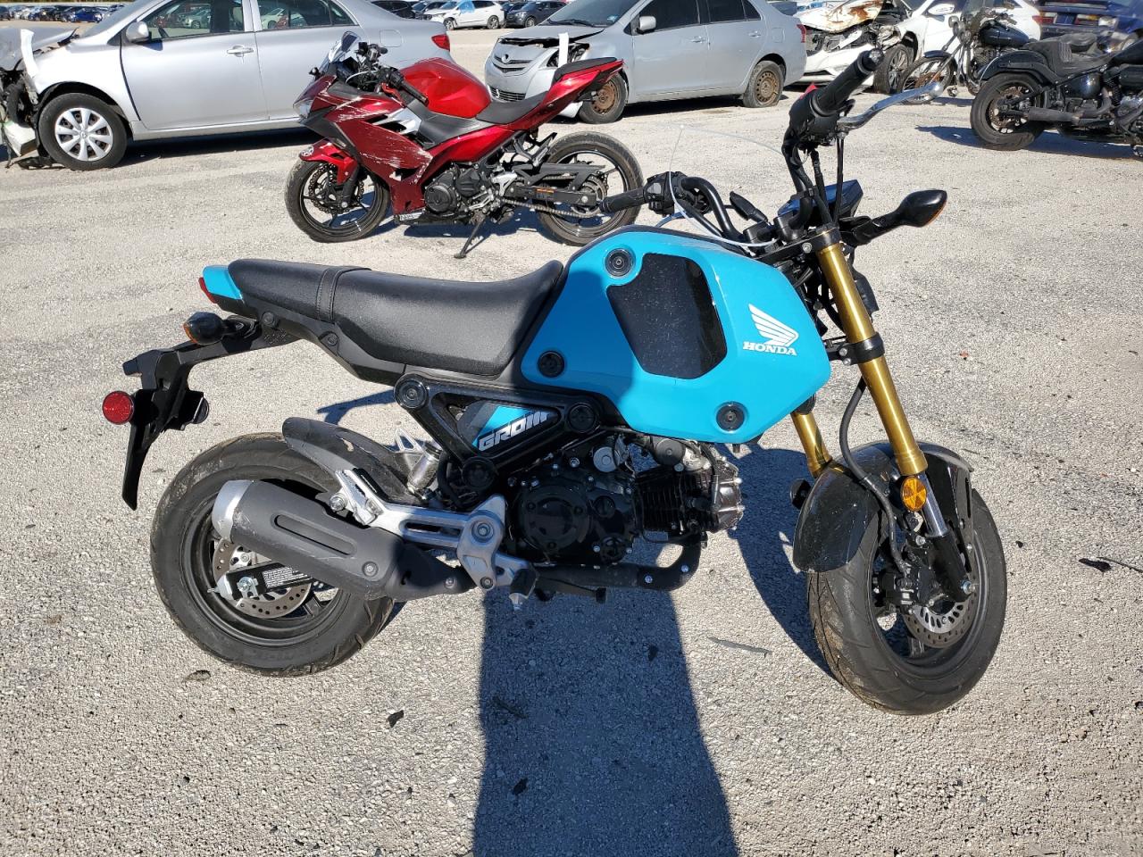 Lot #3049636219 2024 HONDA GROM 125