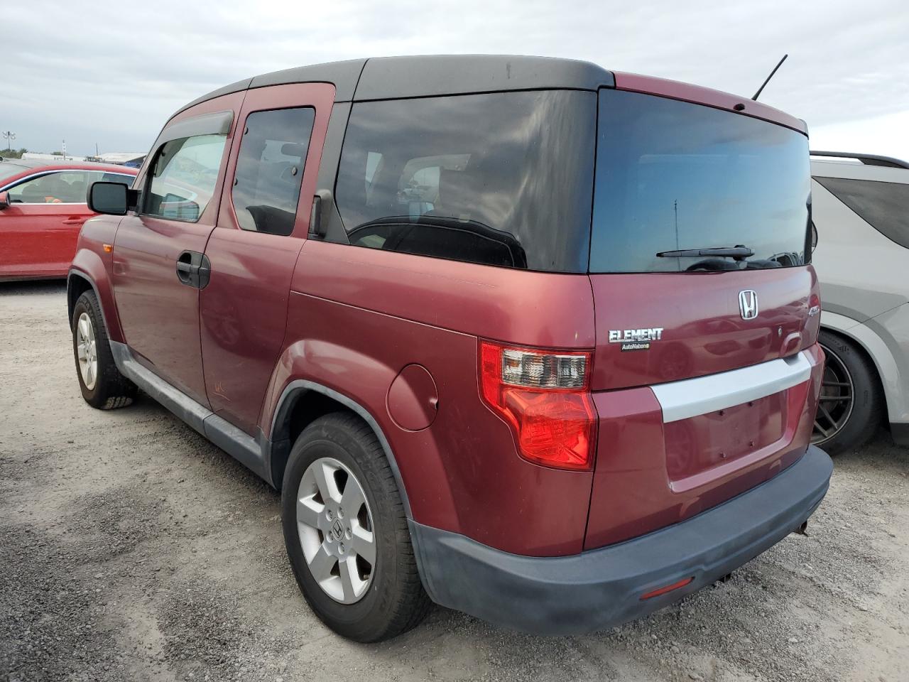 Lot #2976729770 2010 HONDA ELEMENT EX