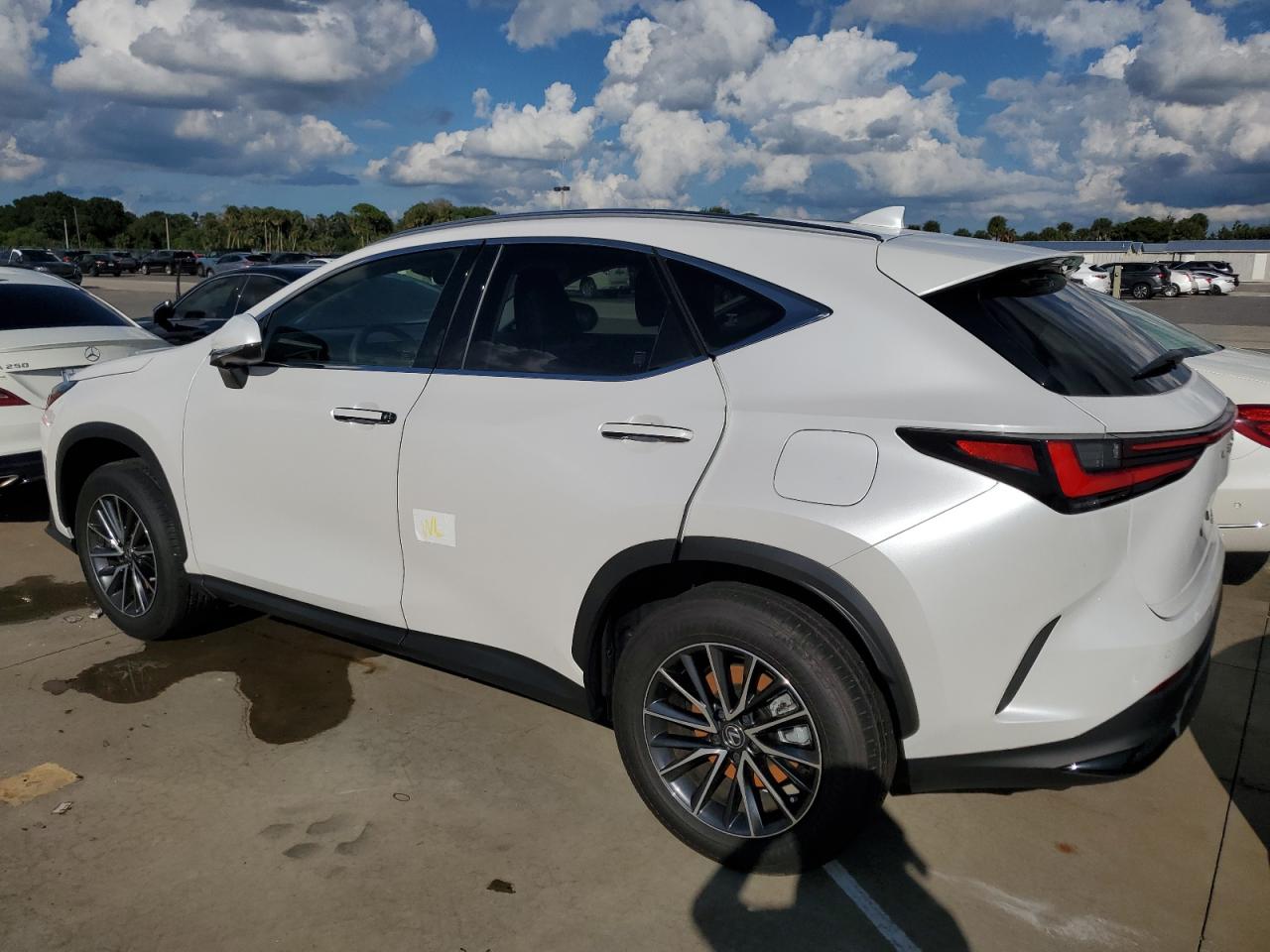 Lot #2996151402 2024 LEXUS NX 250 PRE