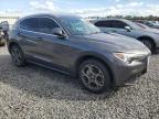 ALFA ROMEO STELVIO photo