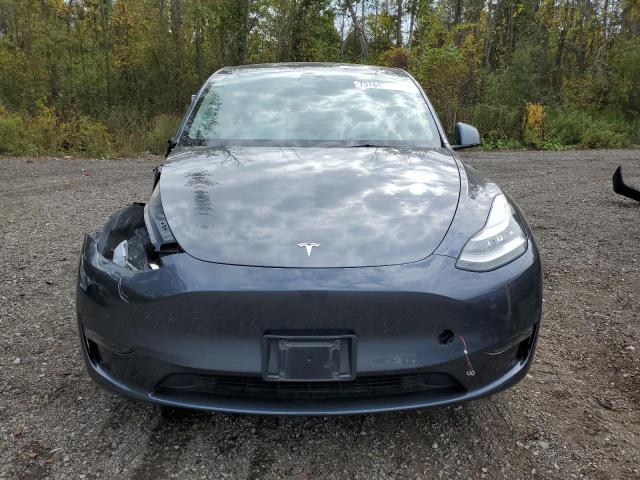 2023 TESLA MODEL Y - 7SAYGDEE4PF609049