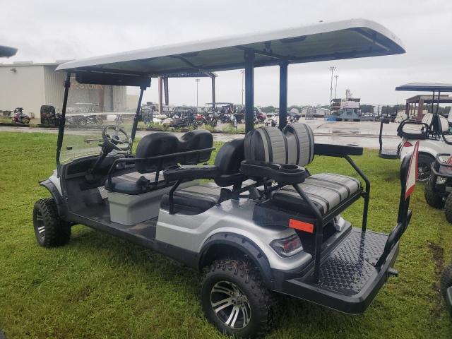 ASPT GOLF CART 2021 silver   FLA118048 photo #4